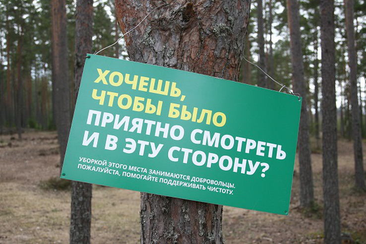 В Ленинградской области прошла «Охота на пластик»