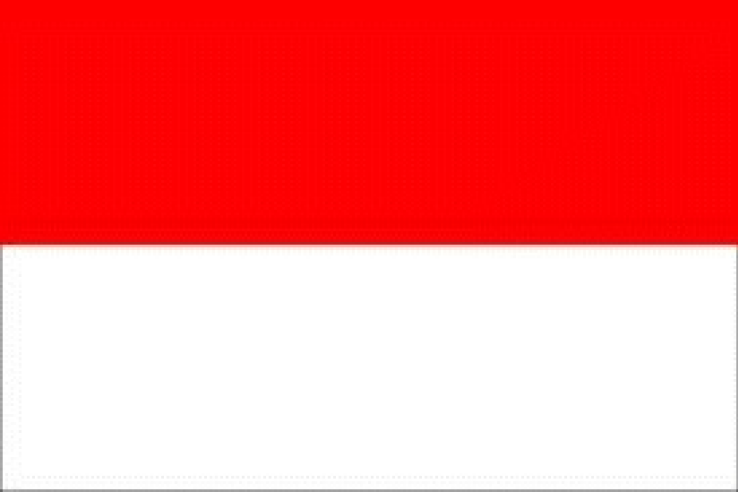 Соболезнования индонезийскому народу